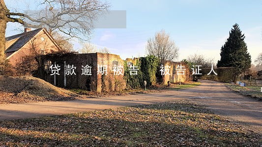 贷款逾期被告 被告证人 贷款逾期被告 被告证人